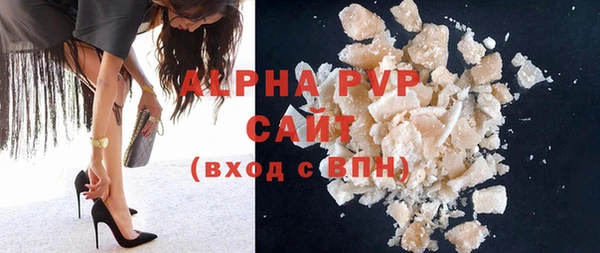 PSILOCYBIN Грязовец