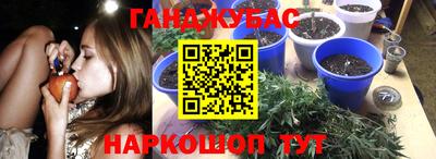 спайс Гусев