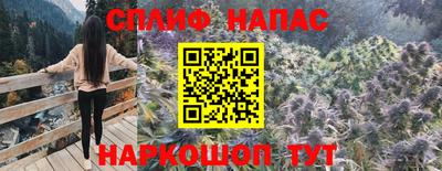 гидра Гусь-Хрустальный