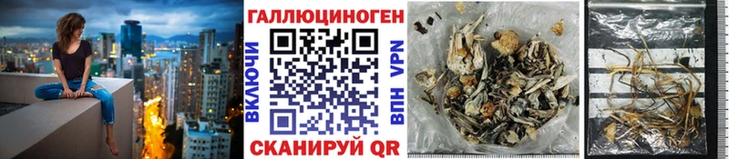 Псилоцибиновые грибы GOLDEN TEACHER Кинешма