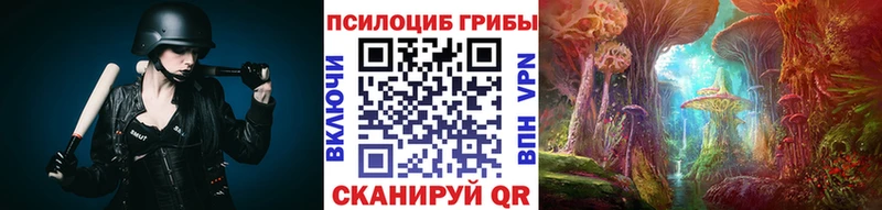 Галлюциногенные грибы Psilocybe  Кинешма 