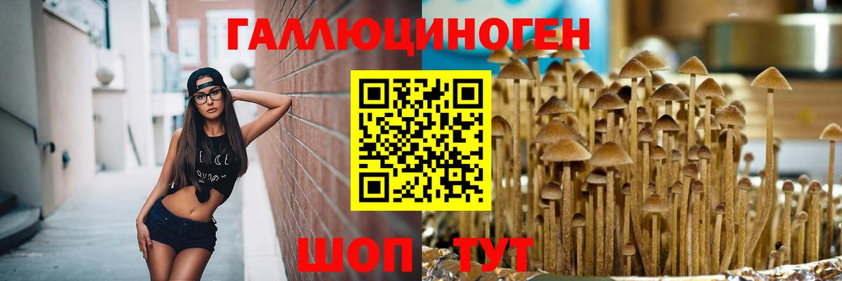 Галлюциногенные грибы ЛСД  Вход с VPN  Псилоцибиновые грибы ЛСД  Кинешма 