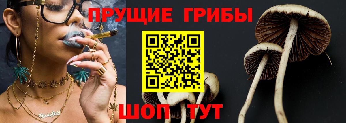 Галлюциногенные грибы ЛСД Кинешма