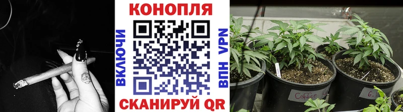 продажа наркотиков Кинешма маркетплейс официальный сайт Канабис THC 21%