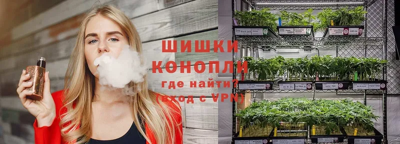 продажа наркотиков  Кинешма  hydra ССЫЛКА  Шишки марихуана индика 